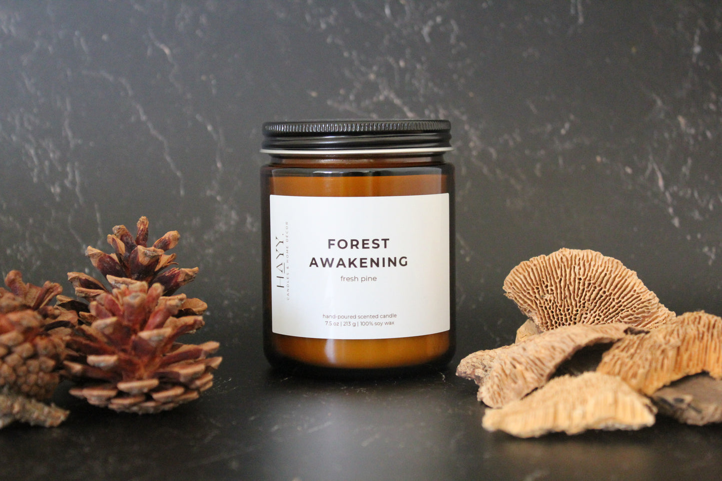 Forest Awakening | Fresh Pine